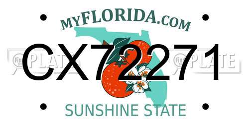 CX72271 Florida License Plate