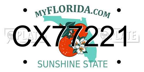 CX77221 Florida License Plate