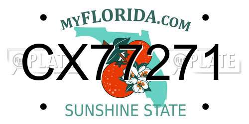 CX77271 Florida License Plate