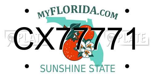 CX77771 Florida License Plate
