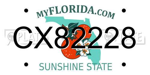 CX82228 Florida License Plate