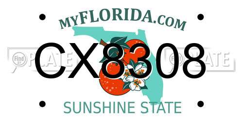 CX8308 Florida License Plate