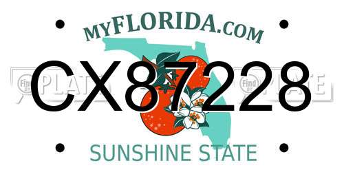 CX87228 Florida License Plate