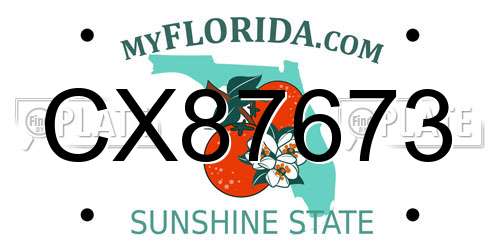 CX87673 Florida License Plate