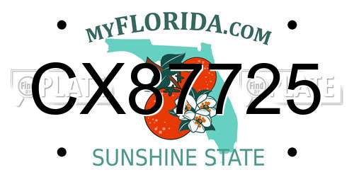 CX87725 Florida License Plate