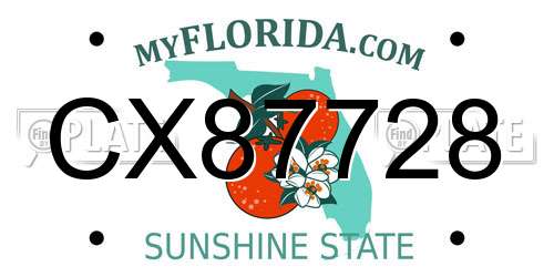 CX87728 Florida License Plate
