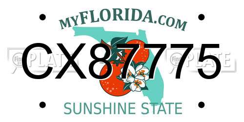 CX87775 Florida License Plate