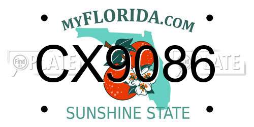 CX9086 Florida License Plate