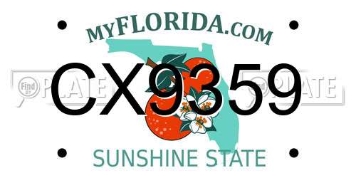 CX9359 Florida License Plate