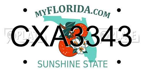 CXA3343 Florida License Plate