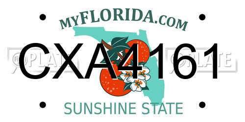 CXA4161 Florida License Plate