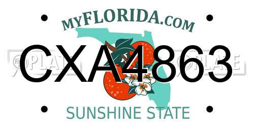 CXA4863 Florida License Plate