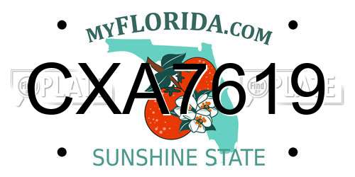 CXA7619 Florida License Plate
