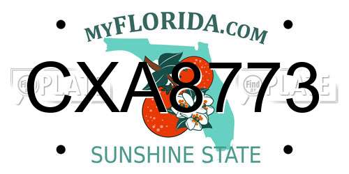CXA8773 Florida License Plate