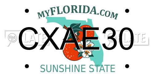 CXAE30 Florida License Plate