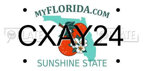 CXAY24 Florida License Plate