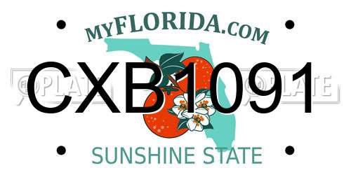 CXB1091 Florida License Plate