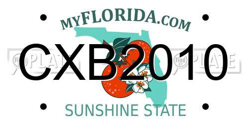 CXB2010 Florida License Plate