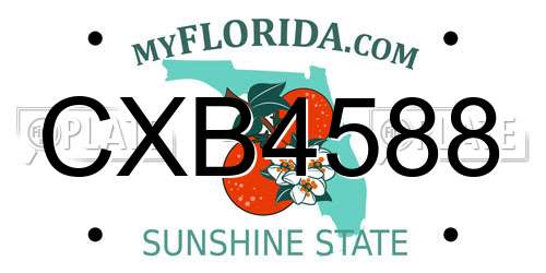CXB4588 Florida License Plate