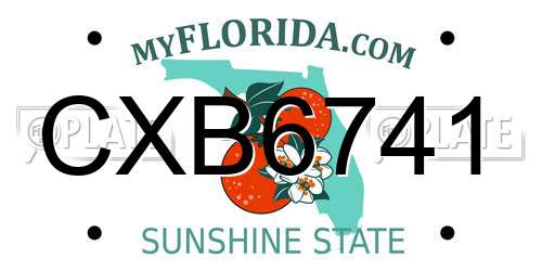 CXB6741 Florida License Plate