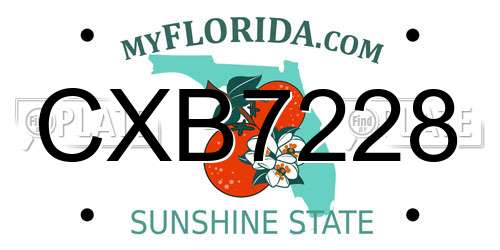 CXB7228 Florida License Plate