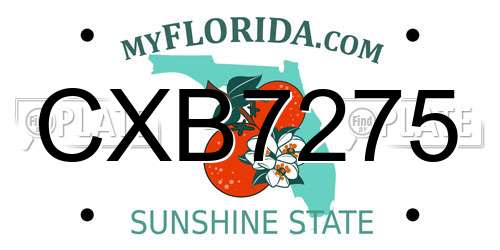 CXB7275 Florida License Plate