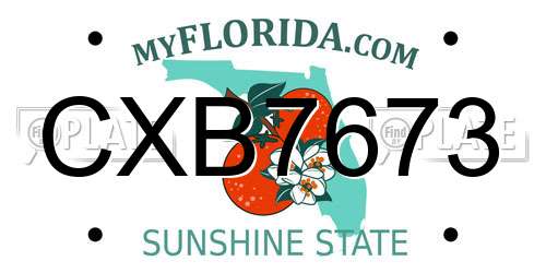CXB7673 Florida License Plate