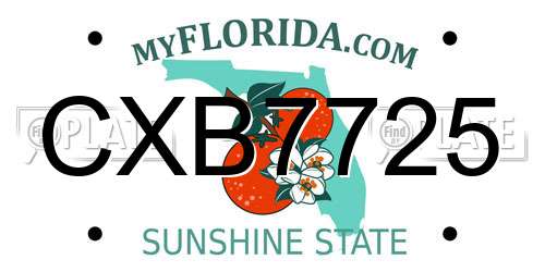 CXB7725 Florida License Plate