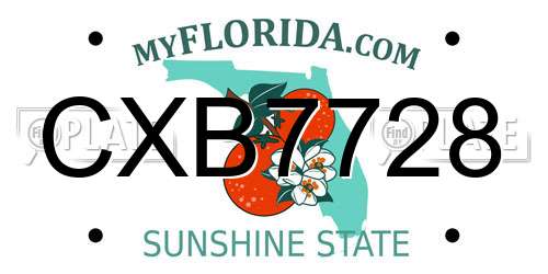 CXB7728 Florida License Plate