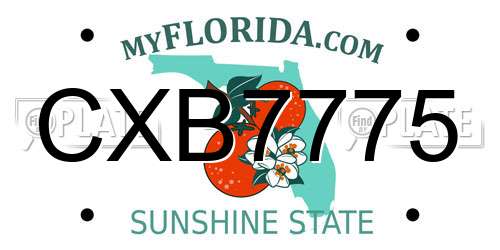 CXB7775 Florida License Plate