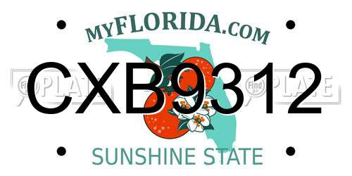 CXB9312 Florida License Plate