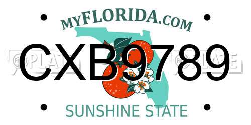 CXB9789 Florida License Plate