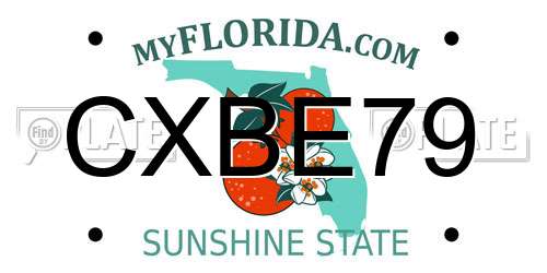 CXBE79 Florida License Plate