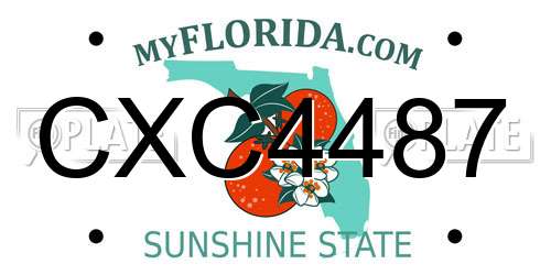 CXC4487 Florida License Plate