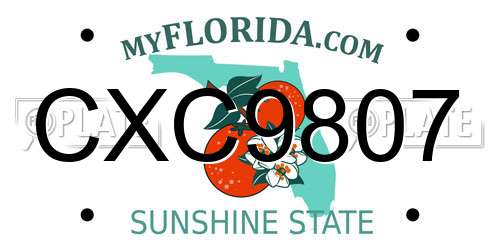 CXC9807 Florida License Plate