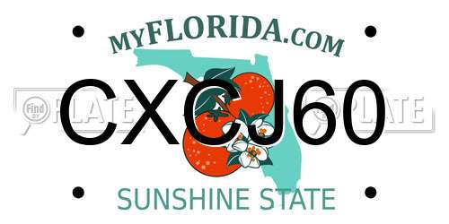 CXCJ60 Florida License Plate