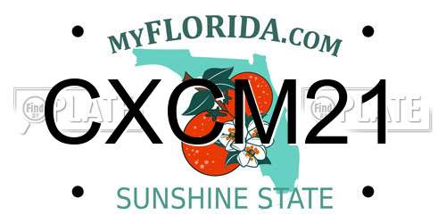 CXCM21 Florida License Plate