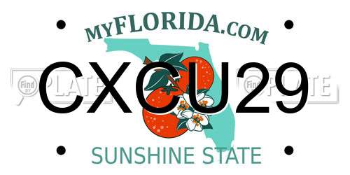 CXCU29 Florida License Plate