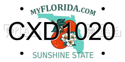CXD1020 Florida License Plate
