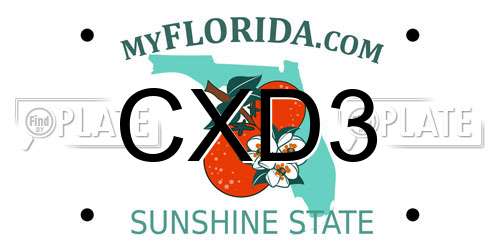 CXD3 Florida License Plate