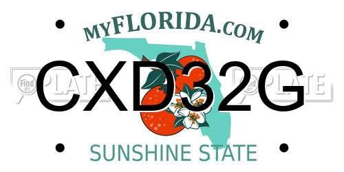 CXD32G Florida License Plate