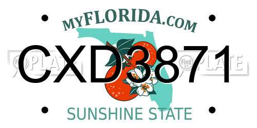 CXD3871 Florida License Plate