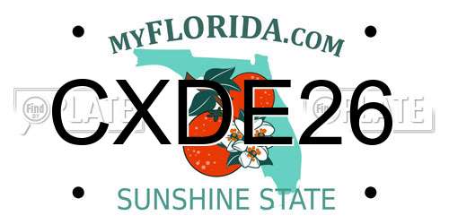 CXDE26 Florida License Plate