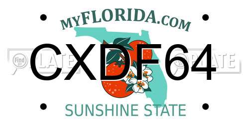 CXDF64 Florida License Plate