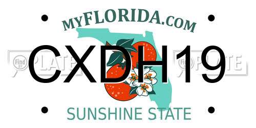 CXDH19 Florida License Plate