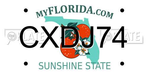 CXDJ74 Florida License Plate