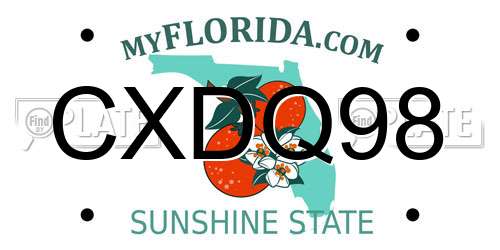 CXDQ98 Florida License Plate