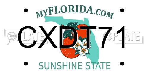 CXDT71 Florida License Plate
