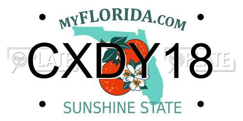 CXDY18 Florida License Plate