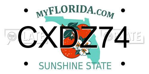 CXDZ74 Florida License Plate
